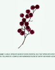 HAND WASH: Amalgam 7