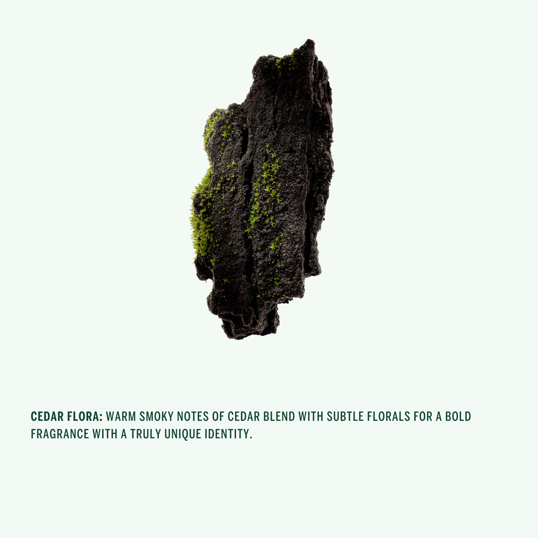 DEODORANT STICK: Cedar Flora