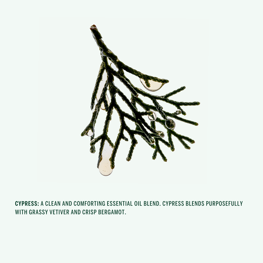 CORPUS | Shampoo | Cypress  Corpus Naturals