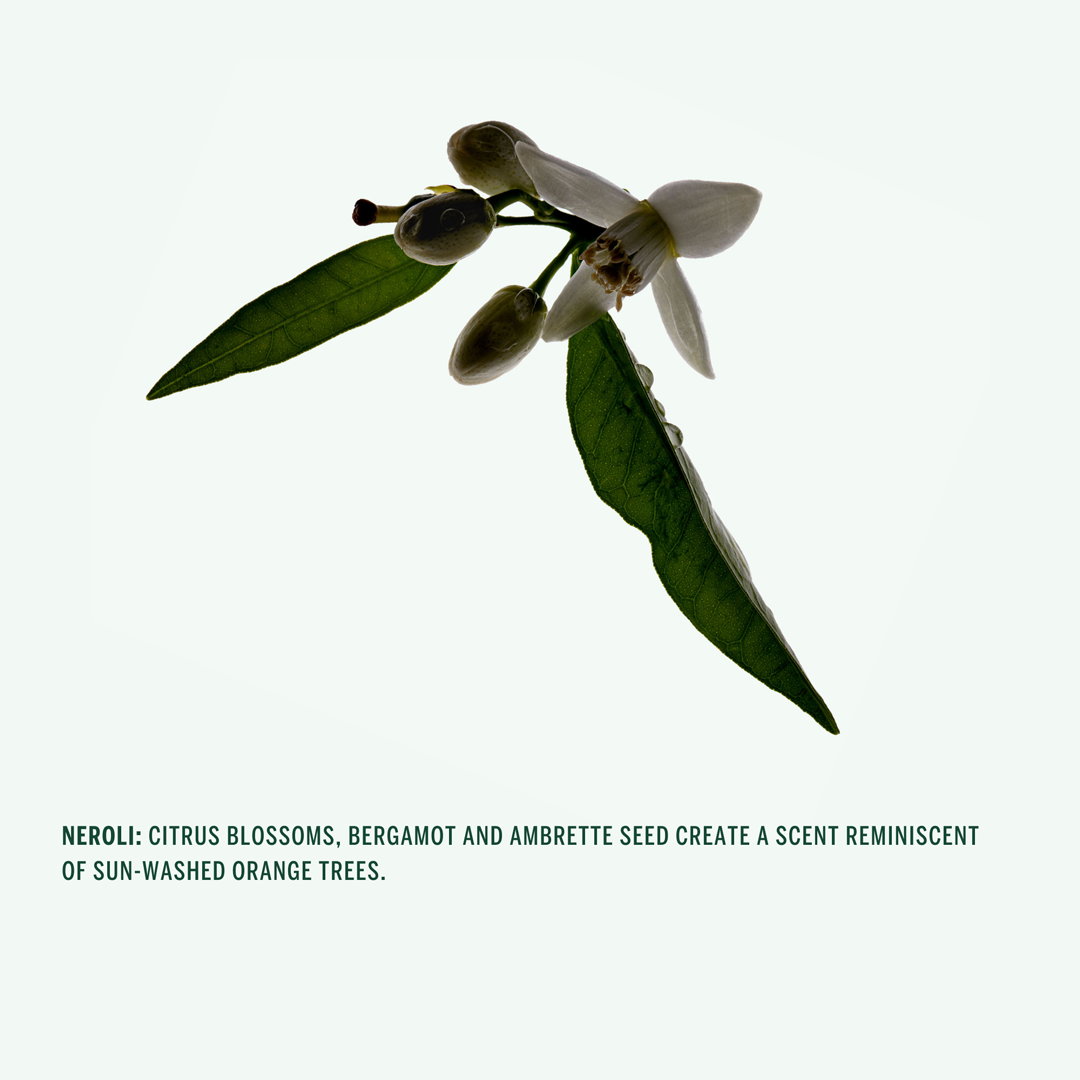 DEODORANT STICK: Neroli