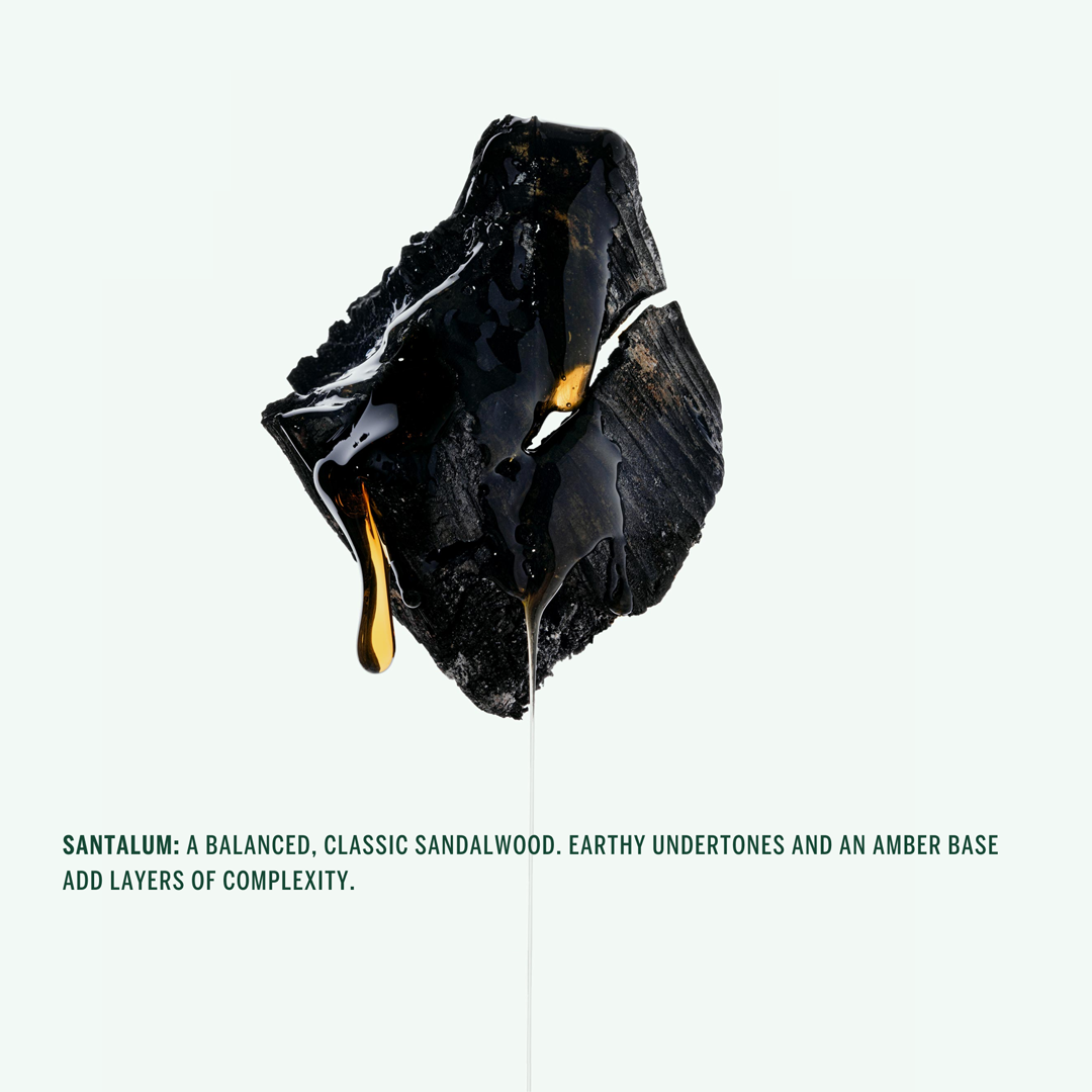 THE DAILY RITUAL: SANTALUM