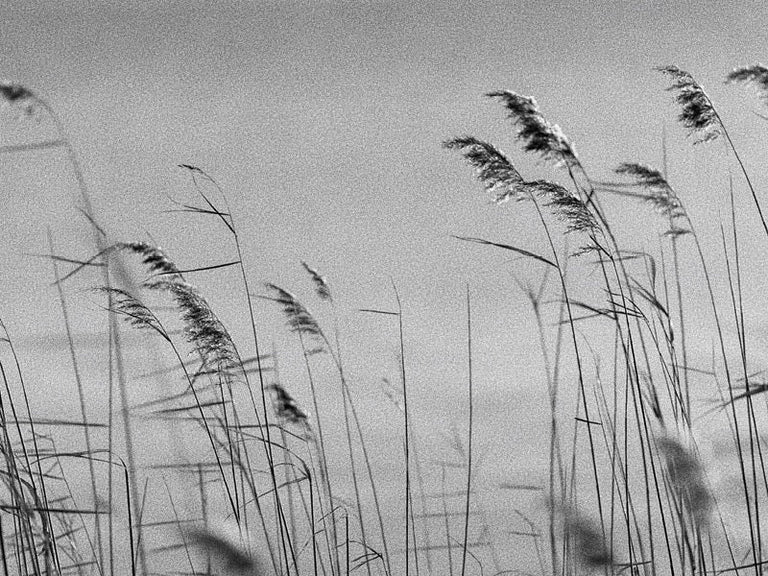 WHAT DOES NATURAL MEAN visual data 2