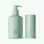 SANTALUM