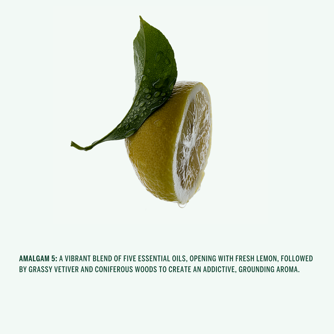 Corpus Naturals AMALGAM Hand Wash - Thumbnail 5