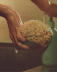 AROMATIC BODY WASH: Nº Green