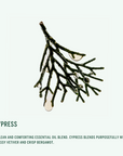 THE HAIR & SCALP SET: CYPRESS