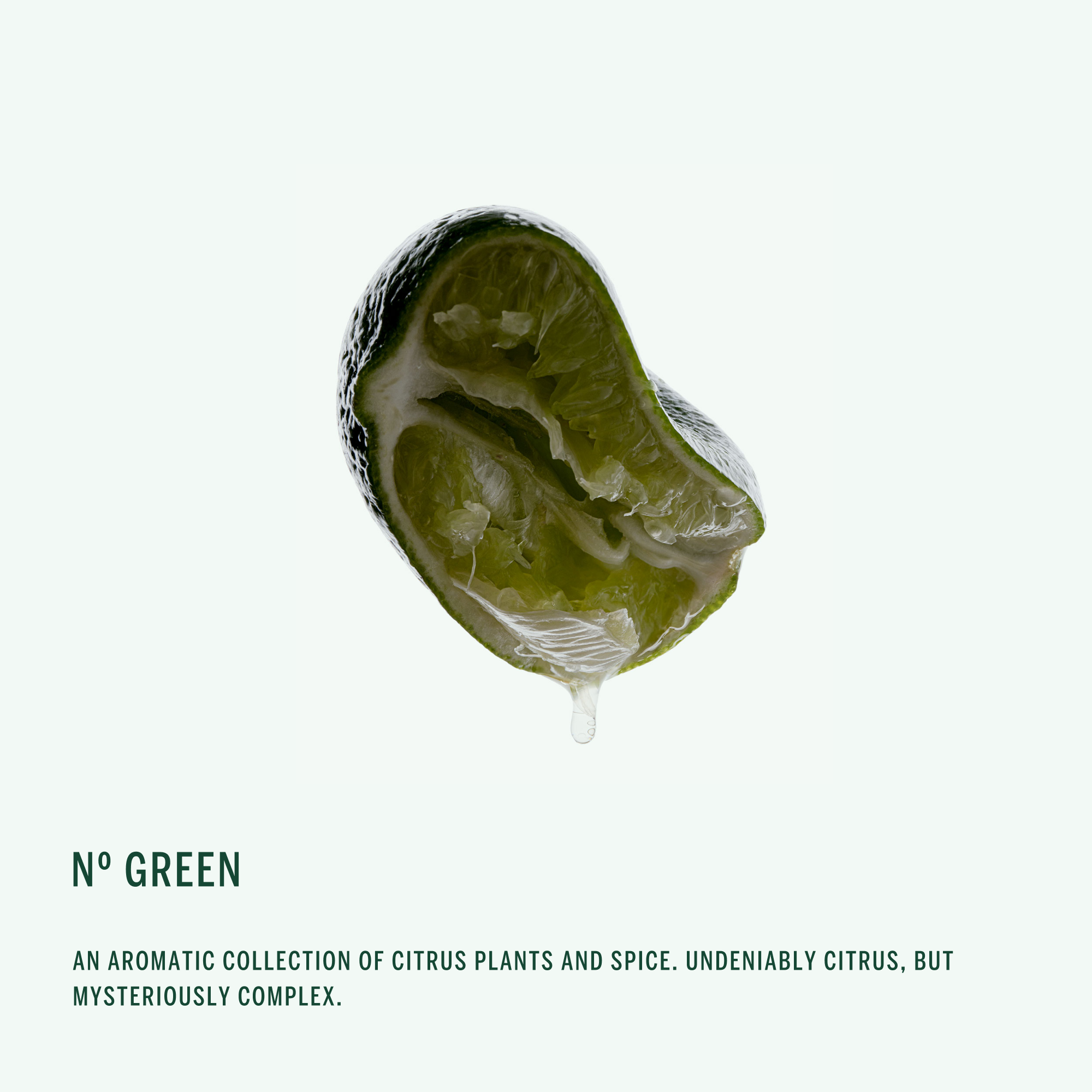 BODY BUTTER: Nº Green (2oz)