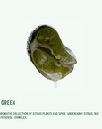 BODY BUTTER: Nº Green (2oz)